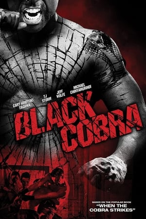 Black Cobra (2012) Hindi Dual Audio | Hindi Dubbed Movie BluRay 300MB