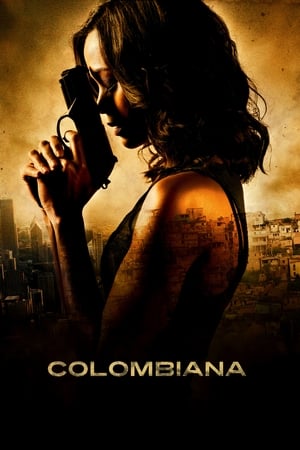 Colombiana (2011) Hindi Dual Audio | Hindi Dubbed Movie BluRay [1.1GB]
