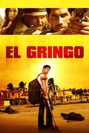 El Gringo (2012) Hindi Dual Audio | Hindi Dubbed Movie HDRip [900MB]