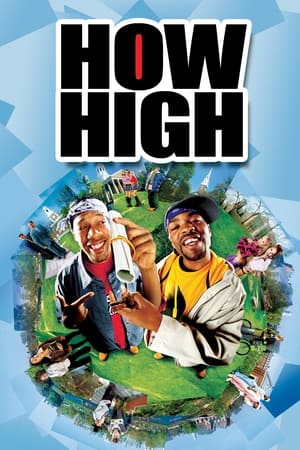 How High (2001) Hindi Dual Audio | Hindi Dubbed Movie WebRip 300MB