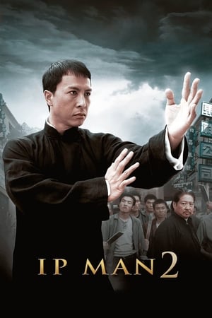 Ip Man 2 (2010) Hindi Dual Audio | Hindi Dubbed Movie BluRay [1GB]