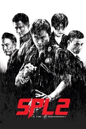 Kill Zone 2 (2015) Hindi Dual Audio | Hindi Dubbed Movie BluRay 400MB