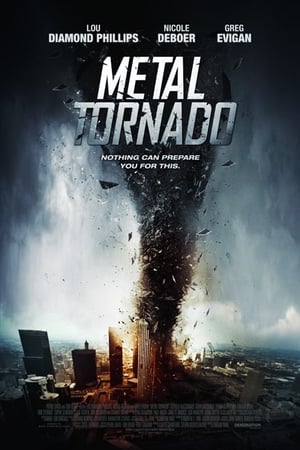 Metal Tornado 2011 Hindi Dual Audio | Hindi Dubbed Movie BluRay [1GB]