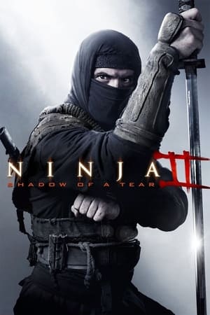 Ninja Shadow of a Tear 2013 Hindi Dual Audio | Hindi Dubbed Movie BluRay [800MB]