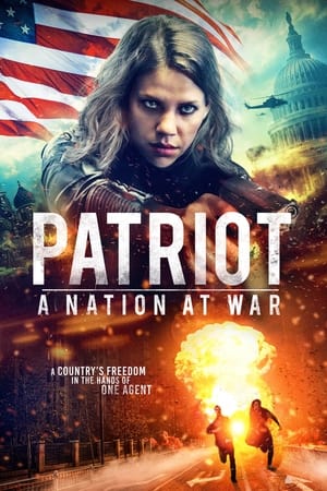 Patriot A Nation at War 2020 Hindi Dual Audio | Hindi Dubbed Movie Web-DL [930MB]