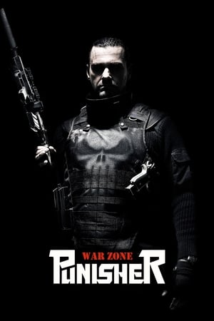 Punisher: War Zone (2008) Hindi Dual Audio | Hindi Dubbed Movie BluRay 340MB