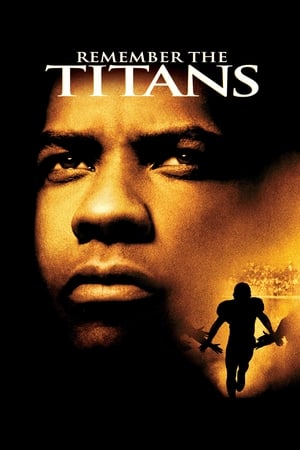 Remember the Titans (2000) Hindi Dual Audio | Hindi Dubbed Movie BluRay [700MB]