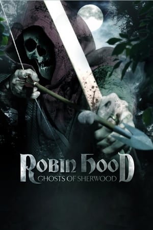 Robin Hood: Ghosts of Sherwood (2012) Hindi Dual Audio | Hindi Dubbed Movie BluRay [1GB]