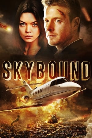 Skybound (2017) Hindi Dual Audio | Hindi Dubbed Movie BluRay [1.2GB]