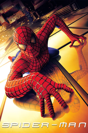 Spider-Man (2002) Hindi Dual Audio | Hindi Dubbed Movie BluRay 370MB