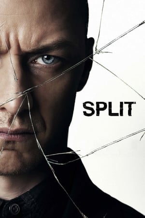 Split (2016) Movie HC HDRip | Hindi Dubbed Movie [900MB] Download