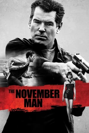The November Man 2014 Dual Audio [Hindi – English] BluRay | Hindi Dubbed Movie – 720p – 1080p