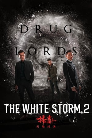 The White Storm 2: Drug Lords (2019) Hindi (Org) | Hindi Dubbed Movie HDRip [950MB]