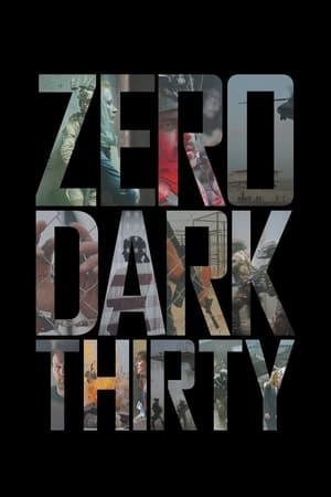 Zero Dark Thirty 2012 Hindi Dual Audio | Hindi Dubbed Movie BluRay 450MB